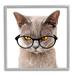 Stupell Industries Cat Face Hipster Glasses Black Framed Giclee Art By Karen Smith Wood in Brown | 24 H x 24 W x 1.5 D in | Wayfair