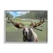 Stupell Industries Funny Golf Clubs Moose Antlers Gray Framed Giclee Art By Elizabeth Medley Wood in Brown/Green | 16 H x 20 W x 1.5 D in | Wayfair