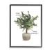 Stupell Industries Keep Going & Growing Potted Plant by House Fenway - Floater Frame Graphic Art on in Brown/Green/White | Wayfair at-616_fr_11x14