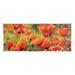 Stupell Industries Wild Poppy Flowers Spring Blooms by Pierre Viollet - Painting Wood in Brown | 7 H x 17 W x 0.5 D in | Wayfair at-641_wd_7x17