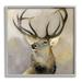 Stupell Industries Elk Forest Wildlife Portrait - Painting Canvas in Brown | 24 H x 24 W x 1.5 D in | Wayfair au-316_gff_24x24