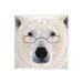 Stupell Industries Snowy Polar Bear Glasses Wall Plaque Art By Karen Smith in White | 12 H x 12 W x 0.5 D in | Wayfair au-255_wd_12x12