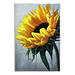 Stupell Industries Yellow Sunflower Blossom Close Up Floater Canvas Wall Art By Ashley Aldridge Wood in Brown | 15 H x 10 W x 0.5 D in | Wayfair