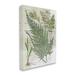 Stupell Industries Vintage Nature Fern Studies Floater Canvas Wall Art By Lil' Rue Canvas in White | 48 H x 36 W x 1.5 D in | Wayfair