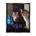 Stupell Industries You Are The Cat's Meow Animal Mirror Floater Canvas Wall Art By Lucia Heffernan Canvas | 31 H x 25 W x 1.7 D in | Wayfair