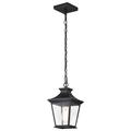 Nuvo Lighting 60746 - 1 Lamp 12" 120 volt Matte Black Clear Glass Outdoor Hanging Lantern Light Fixture (JASPER 1LT OUTDOOR HANGING BLK (60-5746))