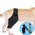 Zjrui Dog Knee Brace Dog Leg Brace for Torn acl Hind Leg Dog Hip Brace Adjustable Rear Leg Braces-XL