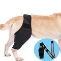 Haobuy Dog Knee Brace Dog Leg Brace for Torn acl Hind Leg Dog Hip Brace Adjustable Rear Leg Braces-M