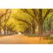 Winston Porter Autumn Leaves - Wrapped Canvas Photograph Canvas in Brown/Yellow | 8 H x 12 W x 1.25 D in | Wayfair 699331507AF6450083970DF01496D10C