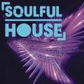 Various Artists - Soulful House CD Album - Used