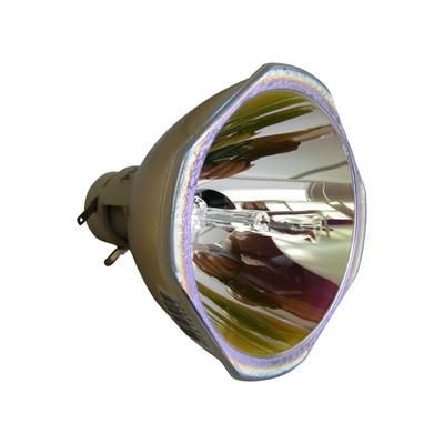 Ruby Lampe CHRISTIE DWU550-G Ruby-003-004451-01 Lampe Ruby Image