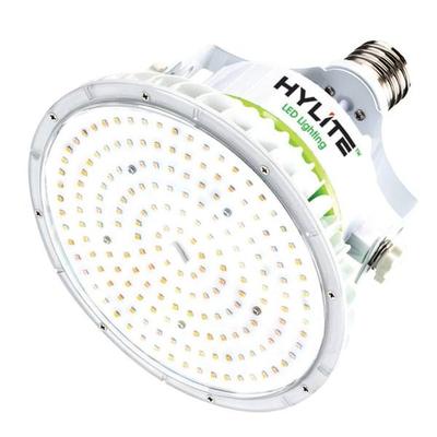 HyLite 00300 - HL-LS-80WD-40-E39-30K Directional Flood HID Replacement LED Light Bulb