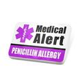 Porcelein Pin Medical Alert Purple Penicillin Allergy Lapel Badge â€“ NEONBLOND