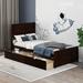 Red Barrel Studio® Twin Size Storage Bed Wood in Brown | 41.3 H x 42.7 W x 76 D in | Wayfair FF5C12765E1F44BB8BF9EE6924FE1290