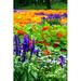 Ebern Designs Flower Bed - Wrapped Canvas Photograph Metal in Green/Indigo/Orange | 48 H x 32 W x 1.25 D in | Wayfair