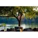 Ebern Designs Tree w/ Lake Background - Wrapped Canvas Photograph Metal in Brown/Green/Red | 32 H x 48 W x 1.25 D in | Wayfair
