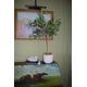 Faux Artificial Small Olive Tree in cement pot with moss H 85cm| Artificial Interior Indoor Plant