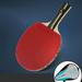 2 Star Spin Control Table Tennis Racket 7 Ply wood Ping Pong Bat Long handl