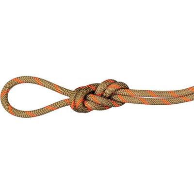 MAMMUT 8.0 Alpine Dry Rope, Größe 70 in Dry Standard, boa-safety orange