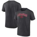 Men's Fanatics Branded Heather Charcoal Arkansas Razorbacks Campus T-Shirt