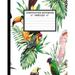 Unruled Composition Notebook 8 x 10 . 120 Pages. Tropical Birds.: Unruled Composition Notebook 8 x 10 . 120 Pages. Beautiful and Colorful Tropical Birds. (Paperback)