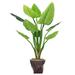 Vintage Home Panama Philodendron Plant in Planter Plastic/Fiberstone | 61.5 H x 52 W x 63 D in | Wayfair VHX136203