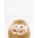 Peekaboo Animal Notebook: Cute Animal Composition Book Hedgehog: 8.5 x 11 200 Wide Ruled Pages Notebook for School Softcover Canvas Design: Large notebook journal for teacher students and colleg