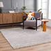 Hauteloom Faina Machine Washable Solid Shag Rug - Plain Living Room Bedroom Shaggy Area Rug - Fluffy Plush High Pile Carpet - Grey Light Gray - 6 7 x 9