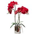 CXGS Artificial Orchid Flower Plant Real Touch Faux Orchids in Ceramic Vase Red 19.7'' Fake Phalaenopsis Flower Arrangement Centerpiece Home Indoor Decor