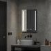 Brayden Studio® Karnus Modern & Contemporary Frameless Lighted Bathroom/Vanity Mirror Metal | 32" x 24" | Wayfair 17EEE581DC9444419EC24275288B1E80