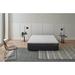 Twin Firm 8" Foam Mattress - Alwyn Home Tight Top | 75 H x 39 W 8 D in Wayfair F7238606D8D6464EB6842B0AA1CFADF9