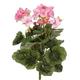Blooming Artificial Outdoor and Indoor Plant, Weather Resistant, Faux Decorative Flowers, Easy Care, Perfect for Gardens and Patios (Geranium Bush) (Pink) (37cm) (8 Pack)