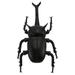Simulation Beetle Model Ornament Vocalizing Beetle Toy Beetle Shape Cognitive Toy