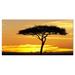 Winston Porter Beautiful Sunset Through Acacia Tree Photographic Print on Wrapped Canvas