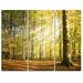 Design Art Sun Rays Hitting Forest - 3 Piece Graphic Art on Wrapped Canvas Set