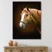 DESIGN ART Designart Portrait Of Brown Horse With White Nose I Farmhouse Canvas Wall Art Print 30 in. wide x 40 in. high