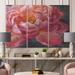 DESIGN ART Designart Vivid Pink Peonies I Shabby Chic Gallery-wrapped Canvas 48 in. wide x 32 in. high - 3 Panels