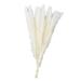 15Pcs Dried Pampas Grass Bundle 20 for Vase Flower Arrangements