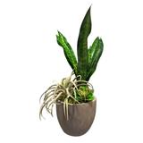 Primrue 4 - Piece Artificial Tillandsia Succulent in Pot Set Plastic | 24 H x 15 W x 15 D in | Wayfair 9641F47CFDE64E7EA46278775B2AA791