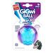 GIGWI Pet Toys G-Ball Toys S / M / L Series Transparent Interactive Dog Ball Toy for Dogs Bite Resistance Elasticity Dog Toy