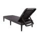 Havenside Home Mahina Resin Outdoor Chaise Lounge Chair by Brown