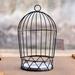 Plant Iron Birdcage Hanging Planter Metal Wire Flower Pot Basket Wrought Iron Plant Stands for Plants Flowers Garden Patio Balcony Outdoor and Indoor DÃ©cor