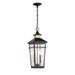 2 Light Outdoor Hanging Lantern in Coastal Style-22.5 inches Tall and 8.5 inches Wide Bailey Street Home 159-Bel-4954661