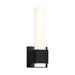 Orren Ellis Perezville 1 - Light Dimmable LED Bath Sconce in Black | 12 H x 4.25 W x 3.5 D in | Wayfair B8E35A1352834C2691921DA031D6AA1C