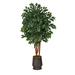 Nearly Natural 57in. Sakaki Artificial Tree in Ribbed Metal Planter