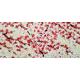 A4-Mul006 | A4 Chiyogami/Yuzen Japanese Origami Paper - Small Red Cherry Blossom