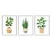 Stupell Minimal Potted Plants Botanicals Botanical & Floral Painting White Framed Art Print Wall Art Set of 3