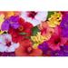 Bay Isle Home™ Hibiscus Flowers Canvas in Red/White/Yellow | 12 H x 18 W x 1.25 D in | Wayfair C1942172C5A245209F261AC1EB395852