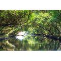 Millwood Pines Helmscott Four Grass Tunnel - Wrapped Canvas Photograph Canvas in Green | 20 H x 30 W x 1.25 D in | Wayfair