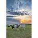 Gracie Oaks Esquina Cows At Sunset by - Wrapped Canvas Photograph Canvas in Blue/Gray/Green | 18 H x 12 W x 1.25 D in | Wayfair